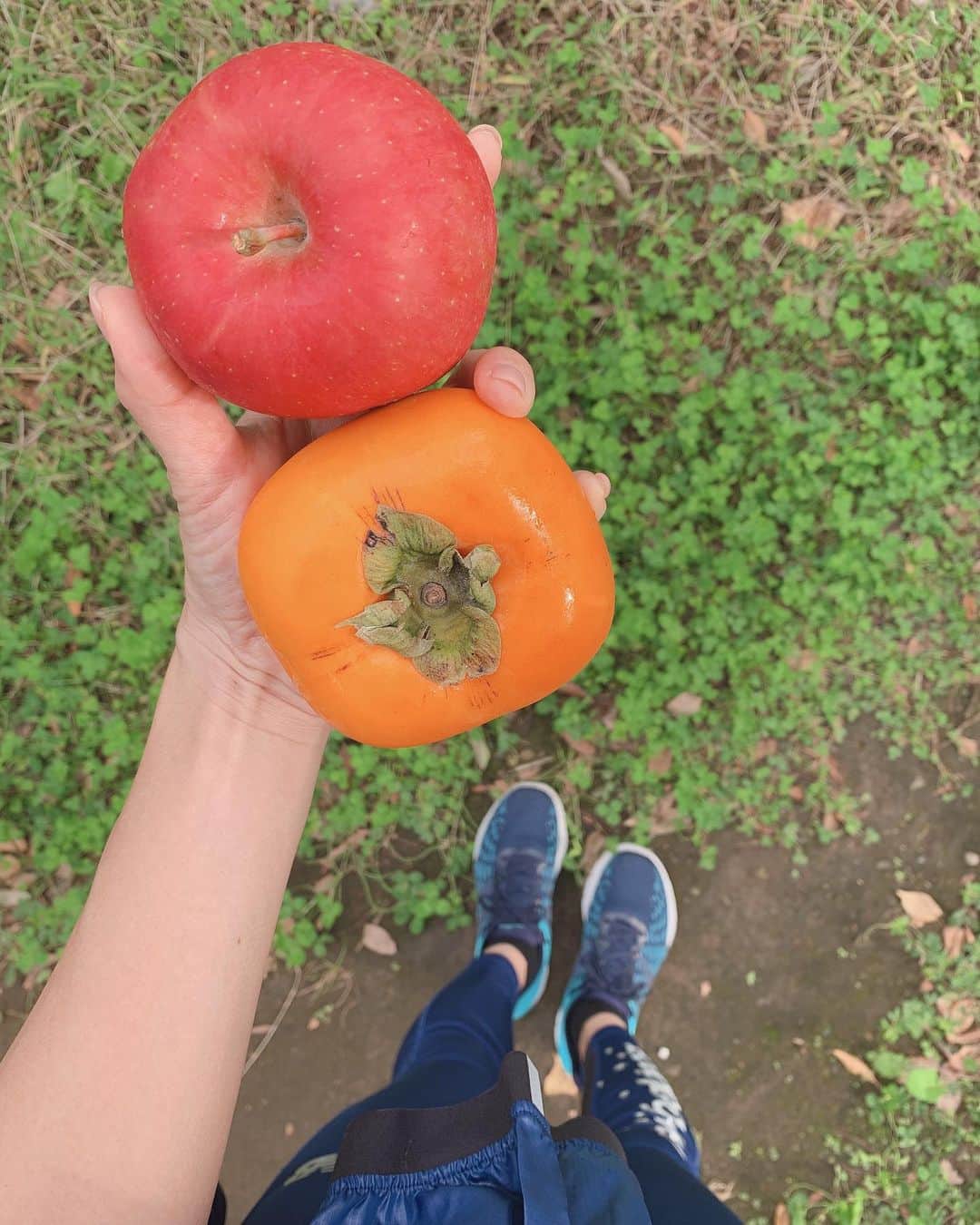 鈴木莉紗さんのインスタグラム写真 - (鈴木莉紗Instagram)「2週間ぶりの朝ラン🏃‍♀️💨 6キロを完走できたのが、こんなにも嬉しいのって何年ぶり…？？←インスタの更新止まっていたのは走れてなかったから 初心に帰ることができるので、たまにはアリですね。 リンゴと柿をGETしたので朝ごはんに食べます🍎✨ 風邪がはやっているので皆様もお気をつけください。 #running  #朝ラン #ランニング女子 #ランニング #秋の味覚　#走れることに感謝 #走れるのは当たり前じゃない」10月24日 8時27分 - suzuki__lisa