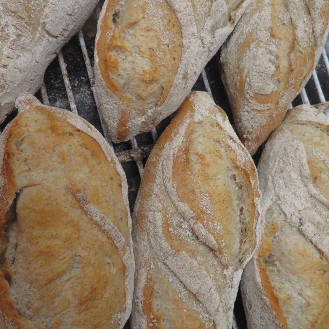 魔女菅原のグルメインスタ