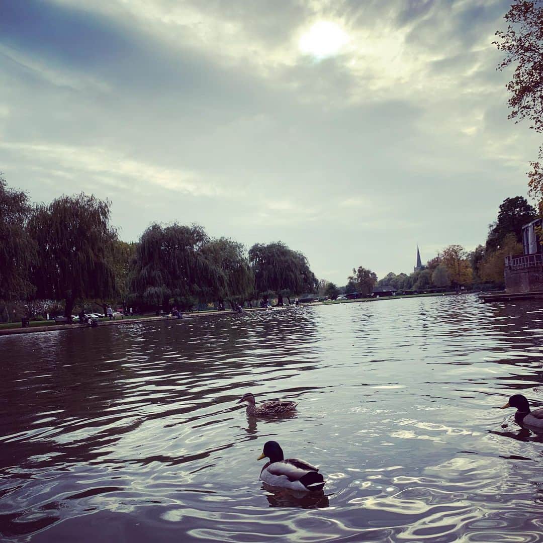 のインスタグラム：「Ducks near RSC in Stratford-Upon-Avon」