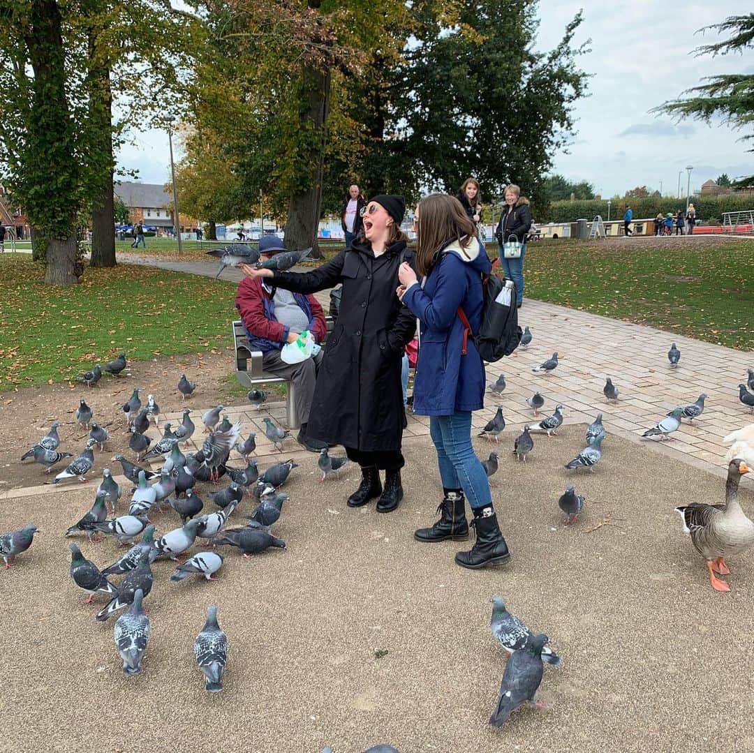 のインスタグラム：「@megstolltron and @anaisgralpois feed the birds: a 9 part saga...」