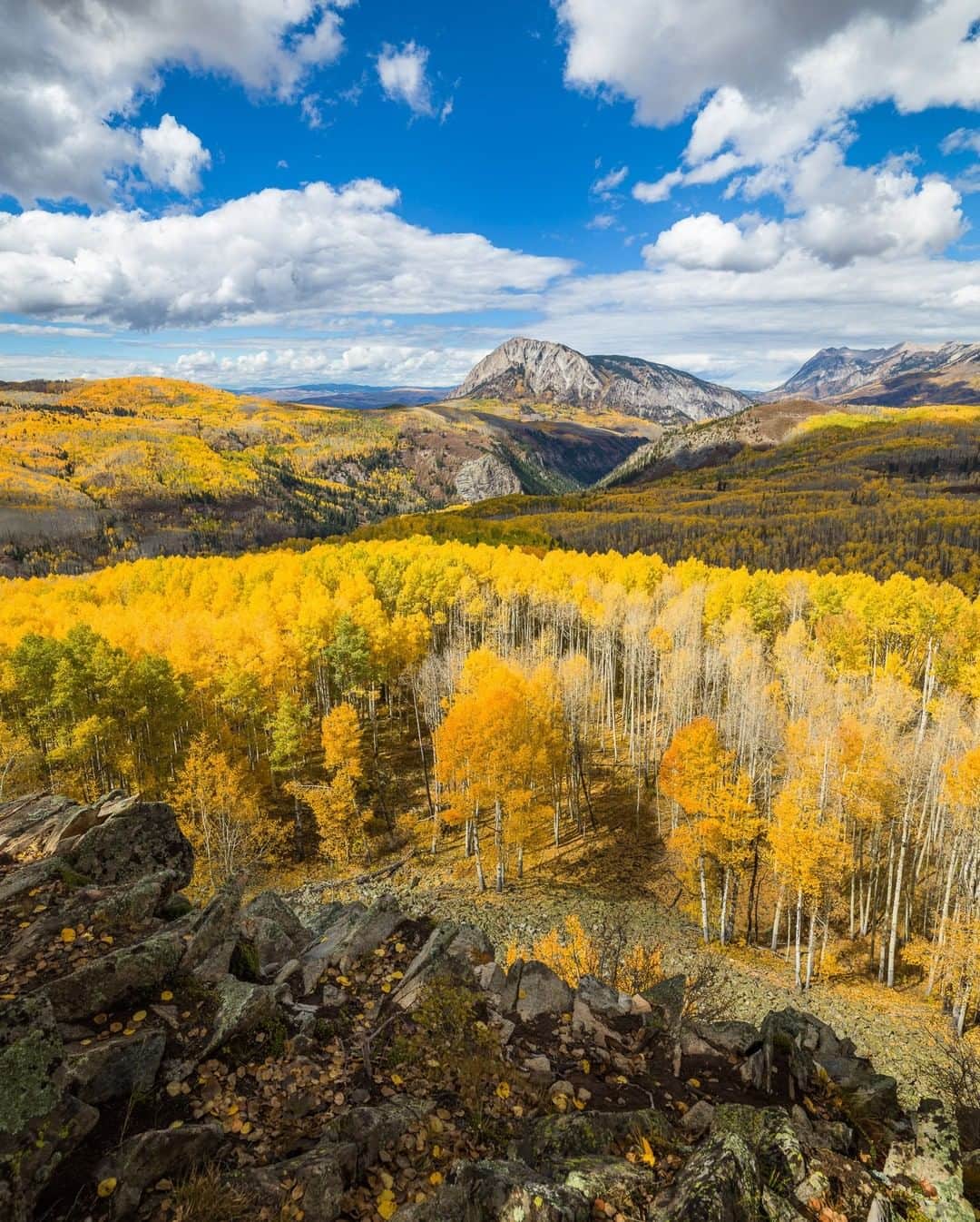 National Geographic Travelさんのインスタグラム写真 - (National Geographic TravelInstagram)「Photo by @michaelclarkphoto | It is that time of year again! The aspens are just starting to be seen in their full glory. This photo of golden aspens was taken from an overlook on the Horse Ranch Park Loop on Kebler Pass above Crested Butte, Colorado. #aspens #keblerpass #colorado」10月24日 9時04分 - natgeotravel