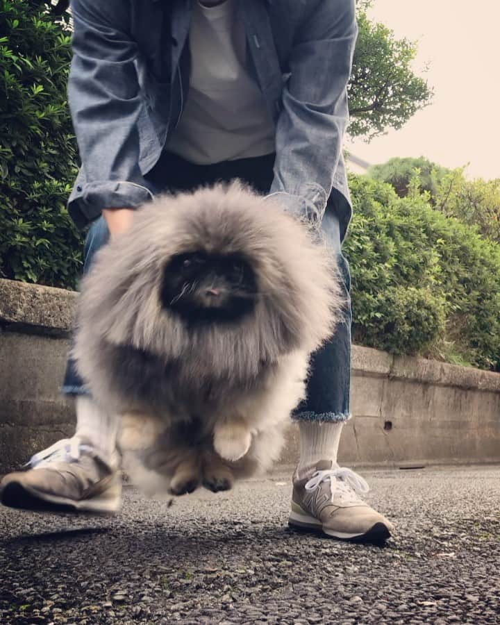 宮田和弥のインスタグラム