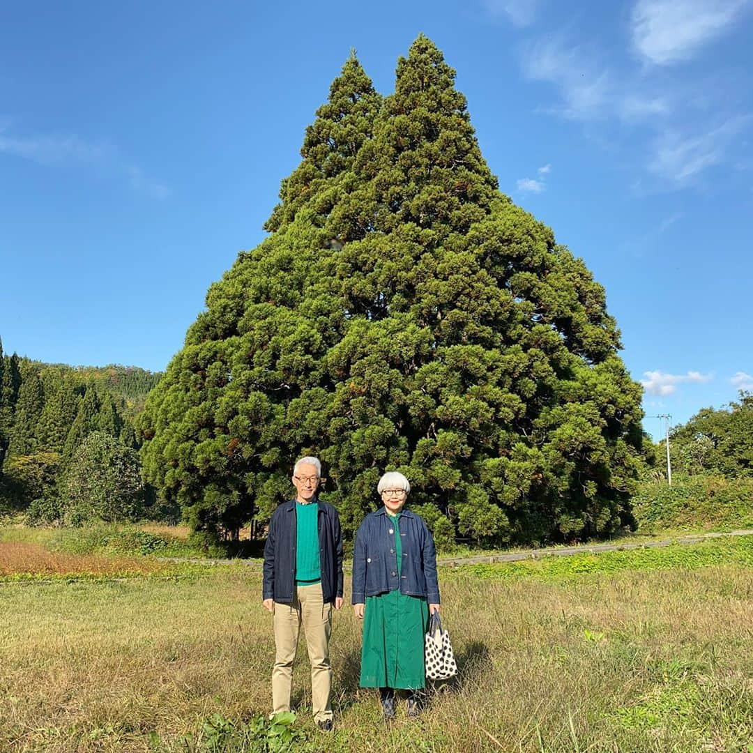 bon ponさんのインスタグラム写真 - (bon ponInstagram)「山形県のお出かけスポットを調べていたら『トトロの木』を見つけました🌲 これは一度見てみたいと思って出かけてきました🚗 ・ 山形県鮭川村にある樹齢約1000年の大樹『小杉の大杉』。映画「となりのトトロ」のトトロに似ていることから『トトロの木』と呼ばれているそうです。 夫婦杉、縁結びの木、子宝の木とも言われパワースポットとしても知られており、根元には山神様が祀られています。 ・ まさに大きなトトロのようでした😳😳 綺麗な青空に堂々たる姿が映えていました。 ＊ グリーン&デニムコーデ💚💙 bon ・デニムジャケット(GU) ・セーター(UNITED ARROWSアウトレット) ・シャツ(UNIQLO) ・パンツ(UNIQLO) pon ・デニムジャケット(merlot) ・ワンピース(UNIQLO) ・バッグ(FABRICO) @fabrico2017 ＊ ＊ #トトロの木 #山形県鮭川村 #小杉の大杉 #夫婦 #60代 #ファッション #コーディネート #リンクコーデ #夫婦コーデ #グレイヘア #白髪 #共白髪 #couple #over60 #fashion #coordinate #instafashion #instagramjapan #greyhair #bonpon511」10月24日 9時29分 - bonpon511