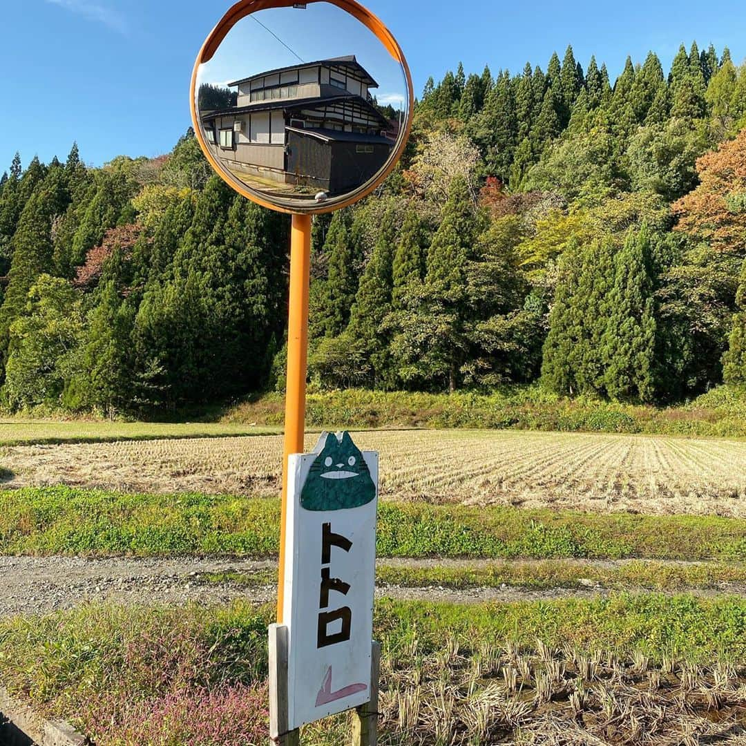 bon ponさんのインスタグラム写真 - (bon ponInstagram)「山形県のお出かけスポットを調べていたら『トトロの木』を見つけました🌲 これは一度見てみたいと思って出かけてきました🚗 ・ 山形県鮭川村にある樹齢約1000年の大樹『小杉の大杉』。映画「となりのトトロ」のトトロに似ていることから『トトロの木』と呼ばれているそうです。 夫婦杉、縁結びの木、子宝の木とも言われパワースポットとしても知られており、根元には山神様が祀られています。 ・ まさに大きなトトロのようでした😳😳 綺麗な青空に堂々たる姿が映えていました。 ＊ グリーン&デニムコーデ💚💙 bon ・デニムジャケット(GU) ・セーター(UNITED ARROWSアウトレット) ・シャツ(UNIQLO) ・パンツ(UNIQLO) pon ・デニムジャケット(merlot) ・ワンピース(UNIQLO) ・バッグ(FABRICO) @fabrico2017 ＊ ＊ #トトロの木 #山形県鮭川村 #小杉の大杉 #夫婦 #60代 #ファッション #コーディネート #リンクコーデ #夫婦コーデ #グレイヘア #白髪 #共白髪 #couple #over60 #fashion #coordinate #instafashion #instagramjapan #greyhair #bonpon511」10月24日 9時29分 - bonpon511