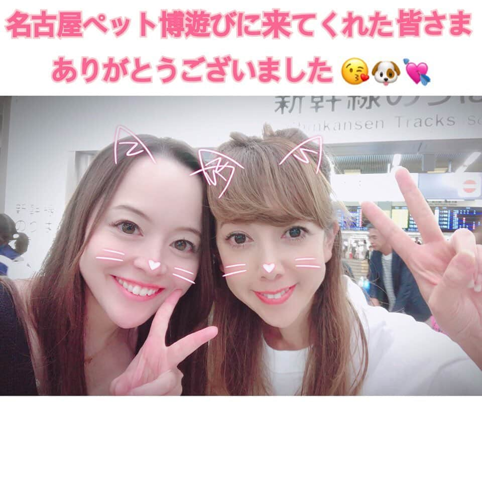 大原かおりさんのインスタグラム写真 - (大原かおりInstagram)「月曜日に♡♡♡ 名古屋ペット博が無事に終わって、 ご注文頂いた商品の発送やオーダー、新作商品の進行をひたすら頑張っておりました🤪💕 ☺︎ 遅くなってしまいましたが🙇‍♀️ Ottyブースにもお越し頂いた皆様ありがとうございました💖 お洋服やグッズをご購入頂き、喜んでもらえてとっても嬉しかったです❣️ ☺︎ アネラジャパンの千葉さんがOttyブースのお手伝いをしてくれたのでとってもスムーズで、お客様ともゆっくりお話出来て楽しかったです👯‍♀️🐶💕 千葉さん、神対応ありがとうございました❤️ ☺︎ 次回のペット博は、11月2日(土)〜4日(月)の大阪インターペットです💁‍♀️🐶💕 またOttyの新作商品も出ますので、ぜひ遊びに来てくださいませ〜😘🐶💖 * #Otty #オッティ #名古屋ペット博 #ポートメッセ名古屋 #11月2日 #からは #大阪ペット博 #インテックス大阪 #ペットイベント #遊びに来てね #🐶 #😺 #💕 #大阪 #ペットイベント #Pet博 #❤️」10月20日 14時09分 - oharagaori_otty