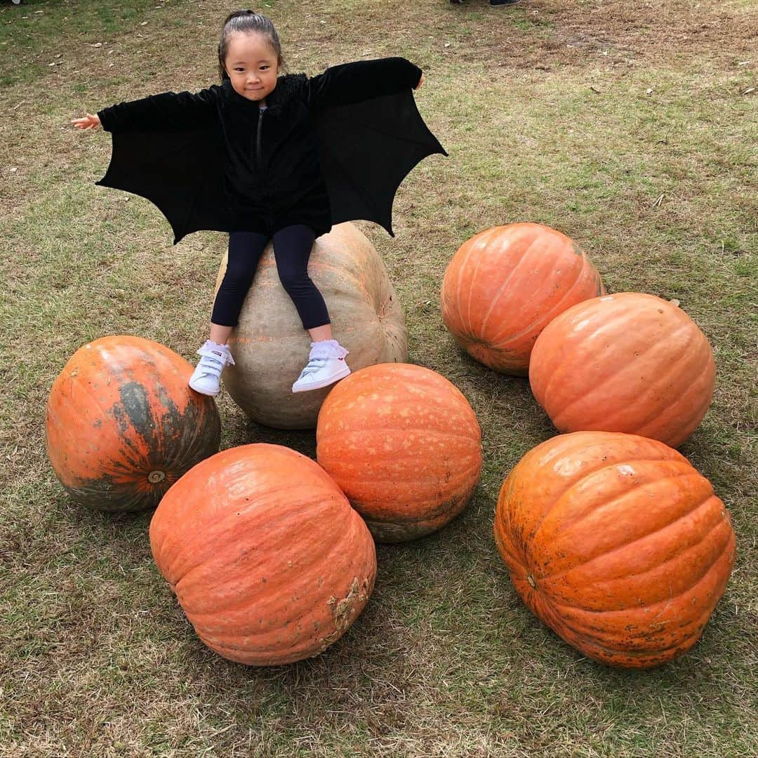 MUROさんのインスタグラム写真 - (MUROInstagram)「夢の島熱帯植物館に来ていマス♪🎃 #夢の島熱帯植物館 #チャンノノ」10月20日 12時58分 - dj_muro