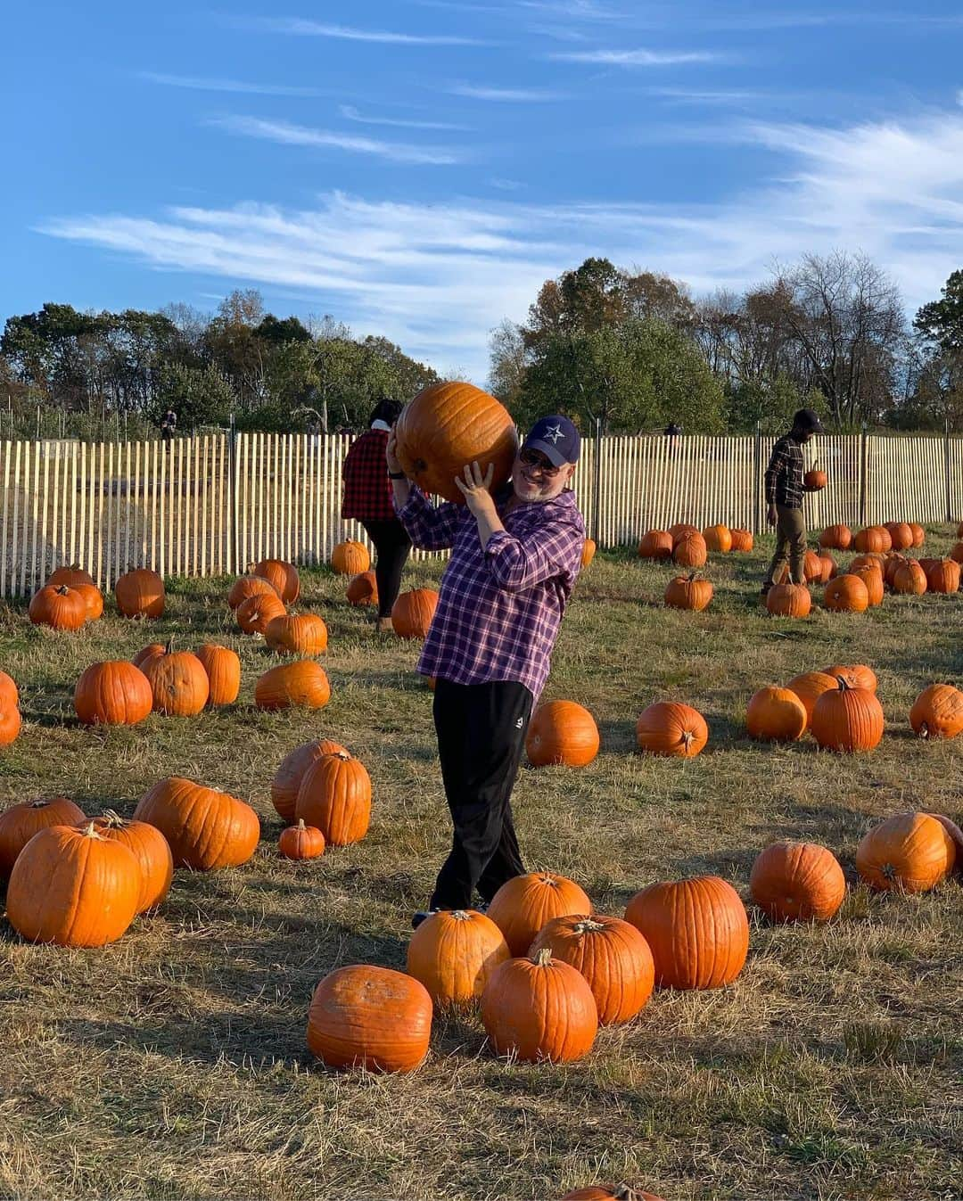 和央ようかさんのインスタグラム写真 - (和央ようかInstagram)「Got a bunch 🎃🎃🎃🎃🎃🤣🤣🤣👍 かなりの収穫🎃🎃🎃🎃🎃🤣🤣🤣満足なり👍  #takakonystylin🍎 #nylife #lifestyle #ny #familyevent#pumpkinpatch #yokawao#和央ようか」10月20日 13時33分 - yokawao0215