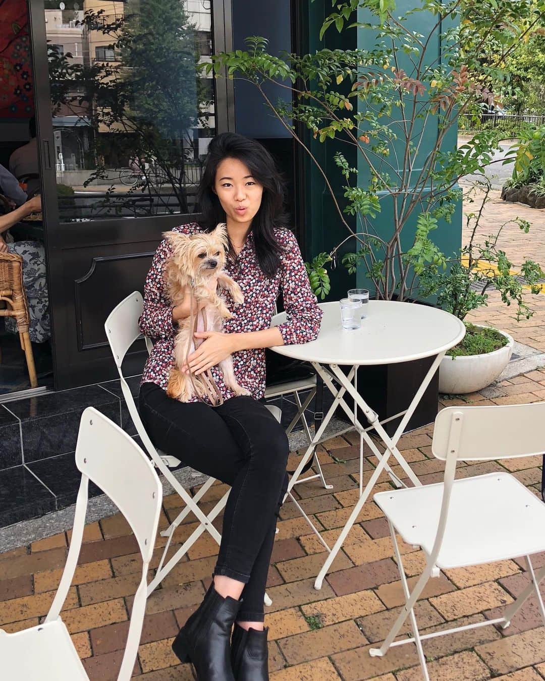 のインスタグラム：「Sunday stroll 🐾🌿🌸」