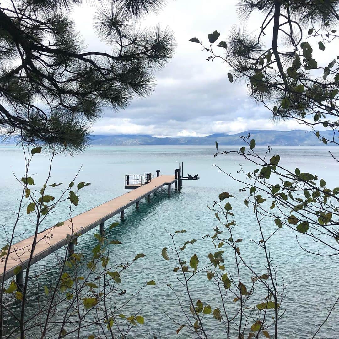 トーランス・クームスのインスタグラム：「Tahoedown.」