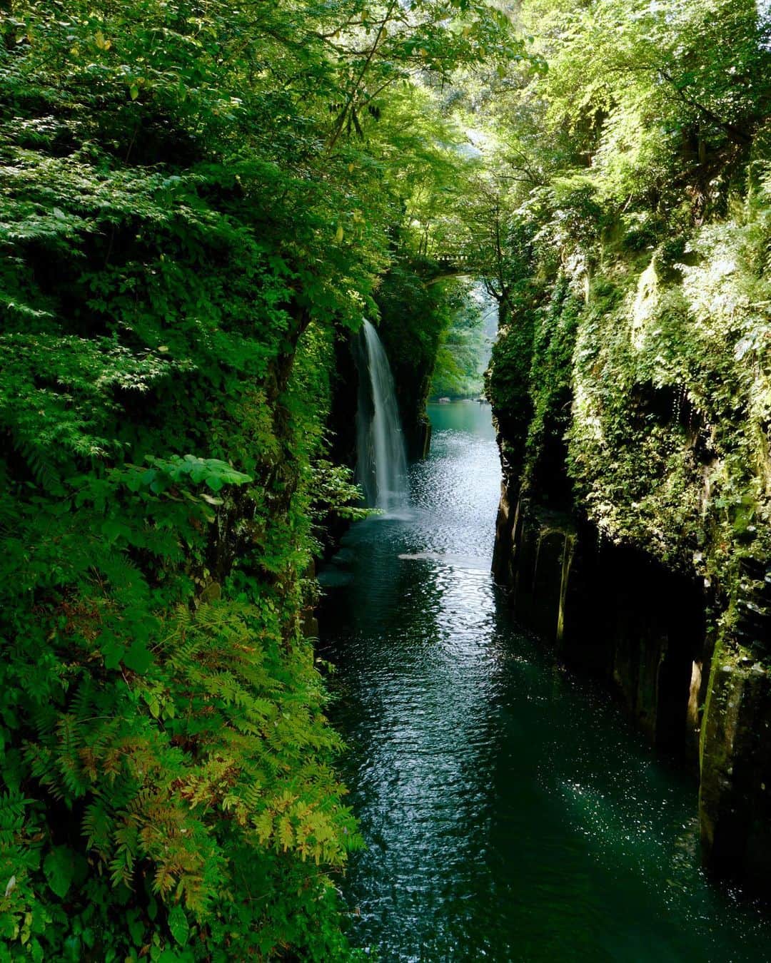 藤崎奈々子さんのインスタグラム写真 - (藤崎奈々子Instagram)「初.高千穂峡🚣‍♂️ ・ この日は残念ながら川の増水の為 ボートが中止に😭 しかし、緑が多くて気持ち良いので お散歩がてら色んな写真をのんびり撮りました ・ #宮崎 #高千穂峡 #お散歩 #カメラ女子 #風景写真  #ライカ #ライカq  #leica #leicaq」10月20日 6時49分 - nanakofujisaki