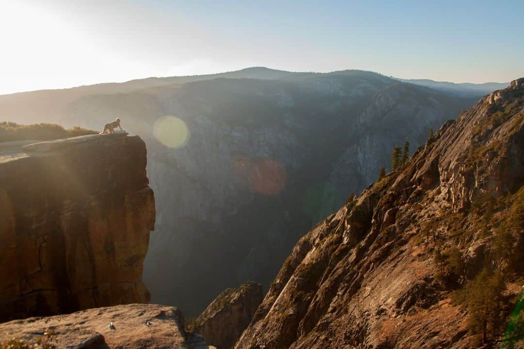 National Geographic Travelさんのインスタグラム写真 - (National Geographic TravelInstagram)「Photo by @mathiassvold | A hiker explores the edge of Taft Point in Yosemite National Park, close to Glacier Point. Rising 3,500 feet above the valley floor, Taft Point offers incredible views of Yosemite. Follow me @mathiassvold for more stories and nature images. #taftpoint #yosemite #yosemitenationalpark」10月20日 9時07分 - natgeotravel