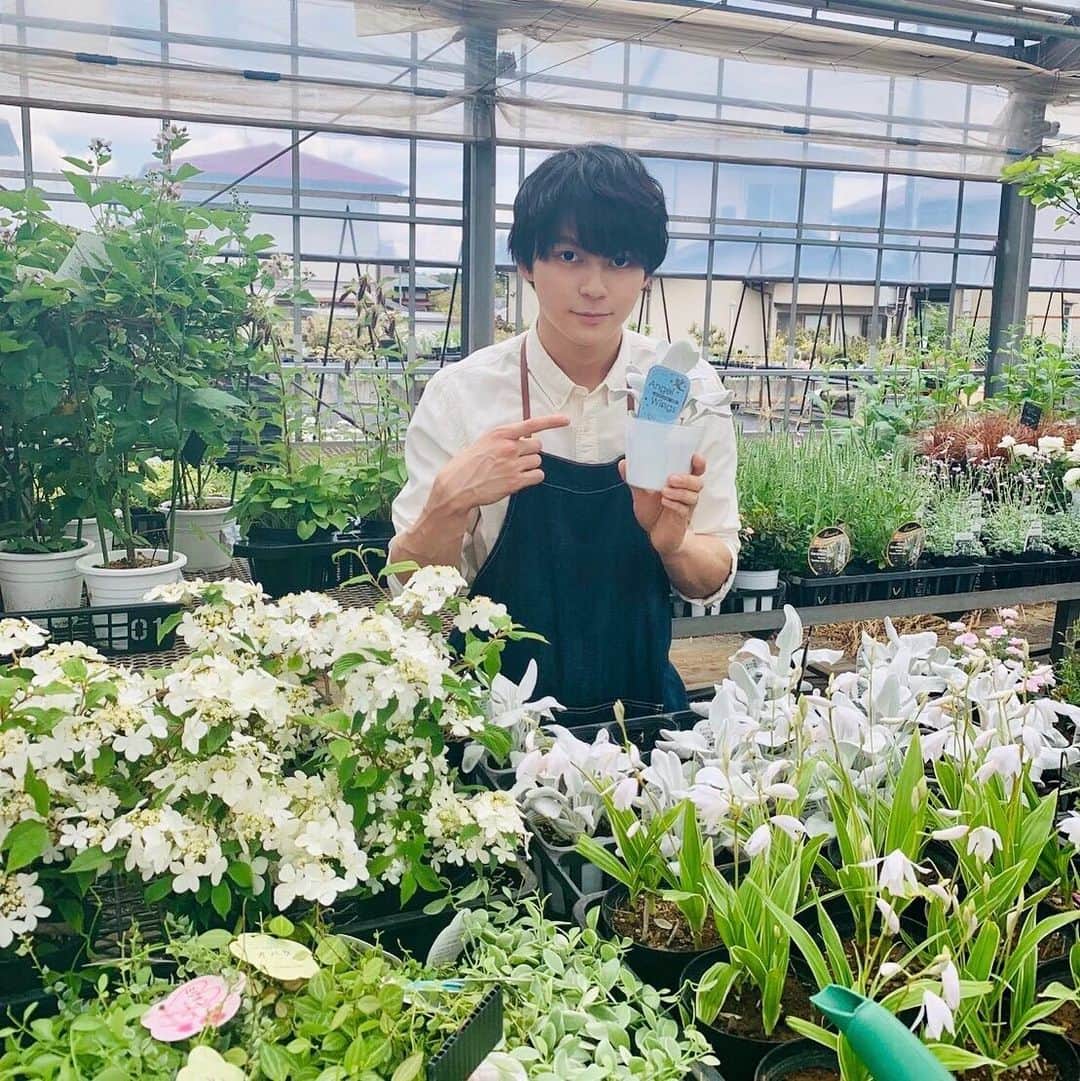 のインスタグラム：「＼📚0キススクールタイム🏫 ／ ﻿ ﻿ 🕚ただいま11時！ ﻿ ﻿ 今日はお家のお花屋さんお手伝い💐 ﻿ ﻿ あーちゃんお気に入りスポット👍🏻 ﻿ ﻿ 指さしてるそれは…なに⁉⁉ ﻿ ﻿ ‪#flower #花 #あーちゃん家の花屋の名前はルーシーグレイ #ルーシーグレイ‬﻿ ‪#午前0時キスしに来てよ #12月6日公開 ﻿ #0キス #0kiss #ゼロキス﻿ #あーちゃん #眞栄田郷敦 #ゴードン‬」