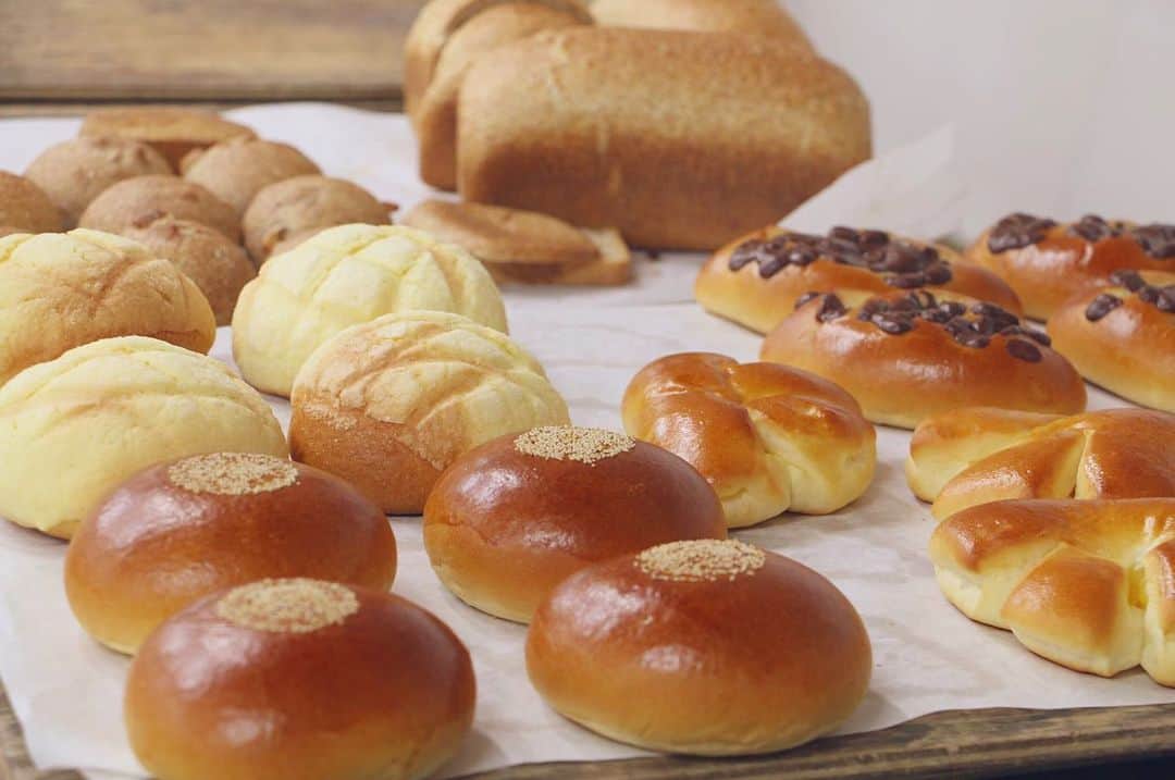 神戸製菓専門学校（公式）さんのインスタグラム写真 - (神戸製菓専門学校（公式）Instagram)「🌈製パン本科🌈（昼1年制）🥐 神戸製菓の #製パン本科 は関西唯一、1年間でプロのパン職人に直結したスキルを身につけられる学科🍞  先日は #ダンマルシェ （株式会社中市大福堂）の中市先生による特別講義が行われました😆🍞 この日は全粒粉天然酵母を使った #ぶどうパン 、 #クリームパン 、#チョコパン 、#メロンパン 、#あんぱん の5種類を作りました✨  応用で学校の授業で使うレシピとは違うレシピに挑戦したり、現場での作業方法や心構えなども教わり、貴重な時間でした🍞😌 #神戸製菓 #製パン本科 #ダンマルシェ  #パン #パン屋巡り #パン作り #パン好き #パン好きな人と繋がりたい #パン活 #パンのある暮らし #おうちパン #カフェ #パン職人 #ブーランジェ #食パン #食パン専門店 #神戸 #神戸パン #pattistagram2019」10月20日 12時01分 - kobeseika_info