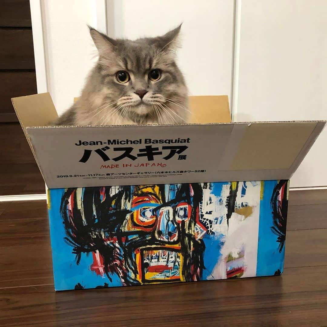 金太さんのインスタグラム写真 - (金太Instagram)「. ZOZOで買い物したら #バスキア のダンボールで届いた📦 絶対作戦やんね、こうしてSNSに載せてもらう。 まんまと載せてる😄💯 . . #ZOZO  #zozotown」10月20日 12時05分 - vvviopw