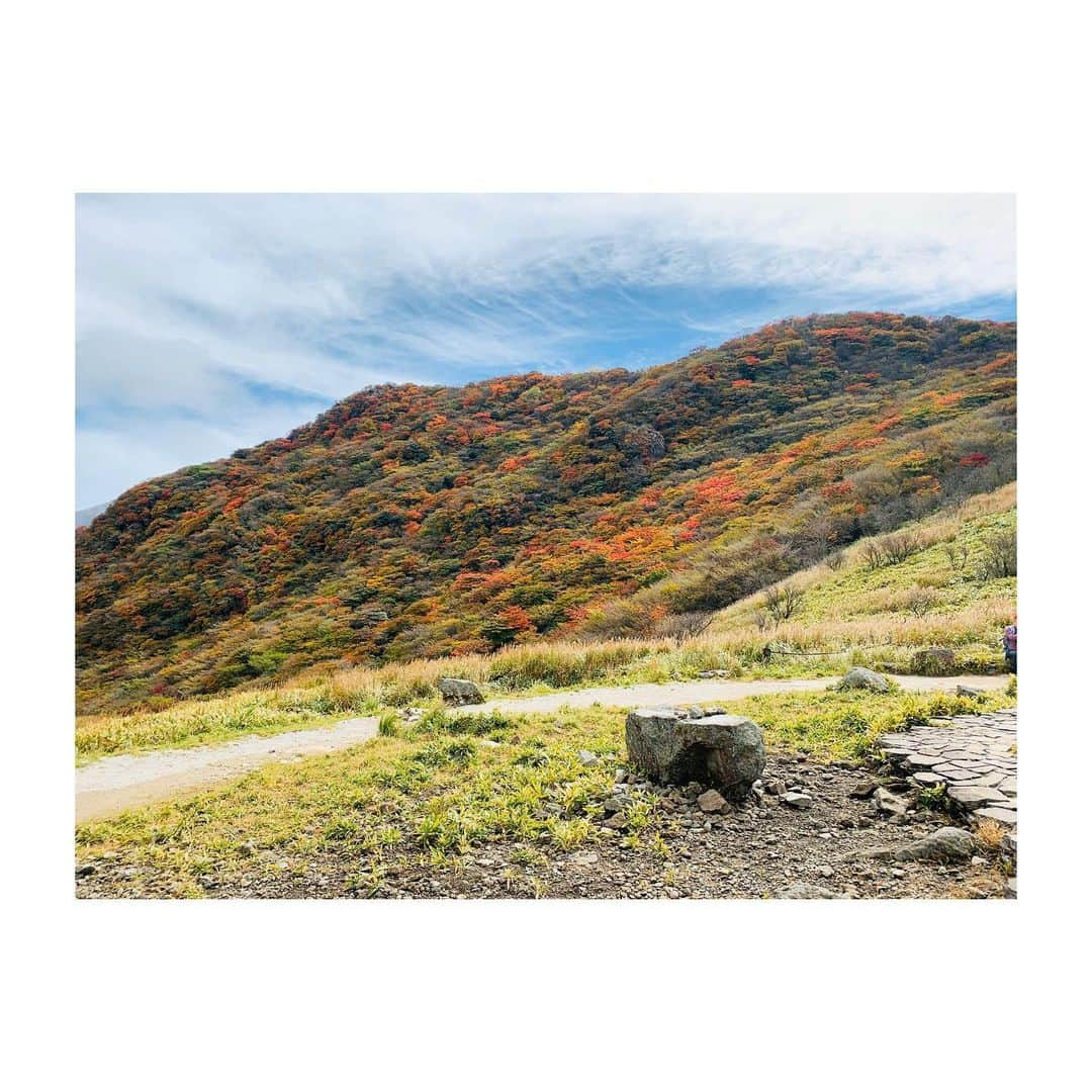 久保井朝美さんのインスタグラム写真 - (久保井朝美Instagram)「⛰ 山粧う🍁 ． 巻雲と紅葉とすすき🌾 秋の三重奏🥰 ． #秋登山 #紅葉登山 #久保井朝美 #紅葉見頃 #2019紅葉 #阿蘇くじゅう国立公園」10月20日 12時27分 - asami_k920