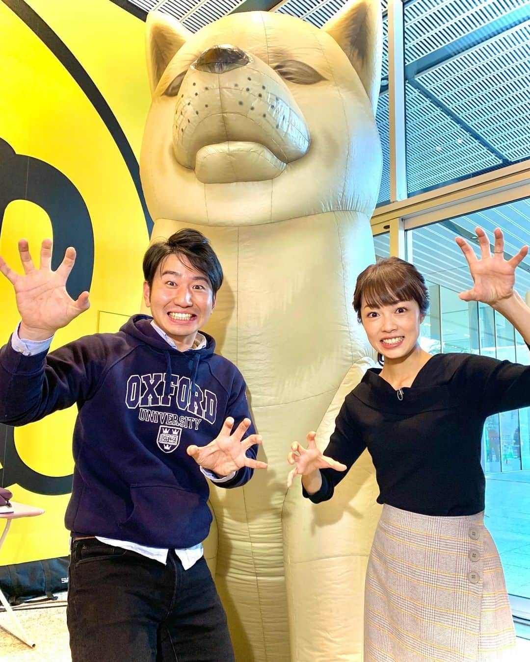 福田太郎のインスタグラム：「🍁 HTBのエントランスに秋！秋田がやってきました！ いぶりがっこ、きりたんぽなど、美味しいグルメに、 もふもふの秋田犬も登場🐶ふれあえちゃいます！  秋だ！秋田だ！HTB創世マルシェ！お待ちしてます〜 #HTB #高橋春花 #アナウンサー も #秋田 出身 金曜の #イチオシ!!中継では秋田弁全開👹 #なまはげ とも仲良し。笑  さっそくイチモニ！終わりに #福永裕梨 #アナウンサー が #秋田犬 に会いに行ってました。もふってました🐕笑  #いぶりがっこ #きりたんぽ #ぬれおかき #しろだし  創業166年の歴史がある #安藤醸造 が来てくれました！ 秋田犬とのふれあいは、このあと13時からスタート！ 販売コーナーは15時までです！」