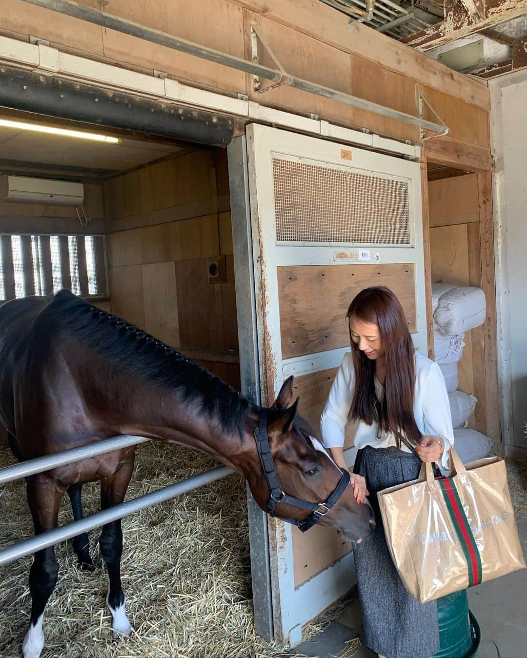 守永真彩さんのインスタグラム写真 - (守永真彩Instagram)「. . 私の菊花賞本命馬はこの子❤️ ホウオウサーベル🏇✨✨✨ . 詳しい理由は「アプリデイリー馬三郎」にて無料でコラム書いてますので良かったら読んでくださいね♪ . . 人懐っこくて愛嬌抜群のサーベルくん。 条件馬ではありますが2勝クラスを勝った時の強さは圧巻でしたし、元はセレクトセールで1億4580万円で取引された期待馬。 最後の一冠に手が届くか...!!!! 馬券握り締めて応援しております☺️❤️ . . #ホウオウサーベル #菊花賞 #私は今日東京競馬場にいます #🏇」10月20日 12時30分 - maayamorinaga