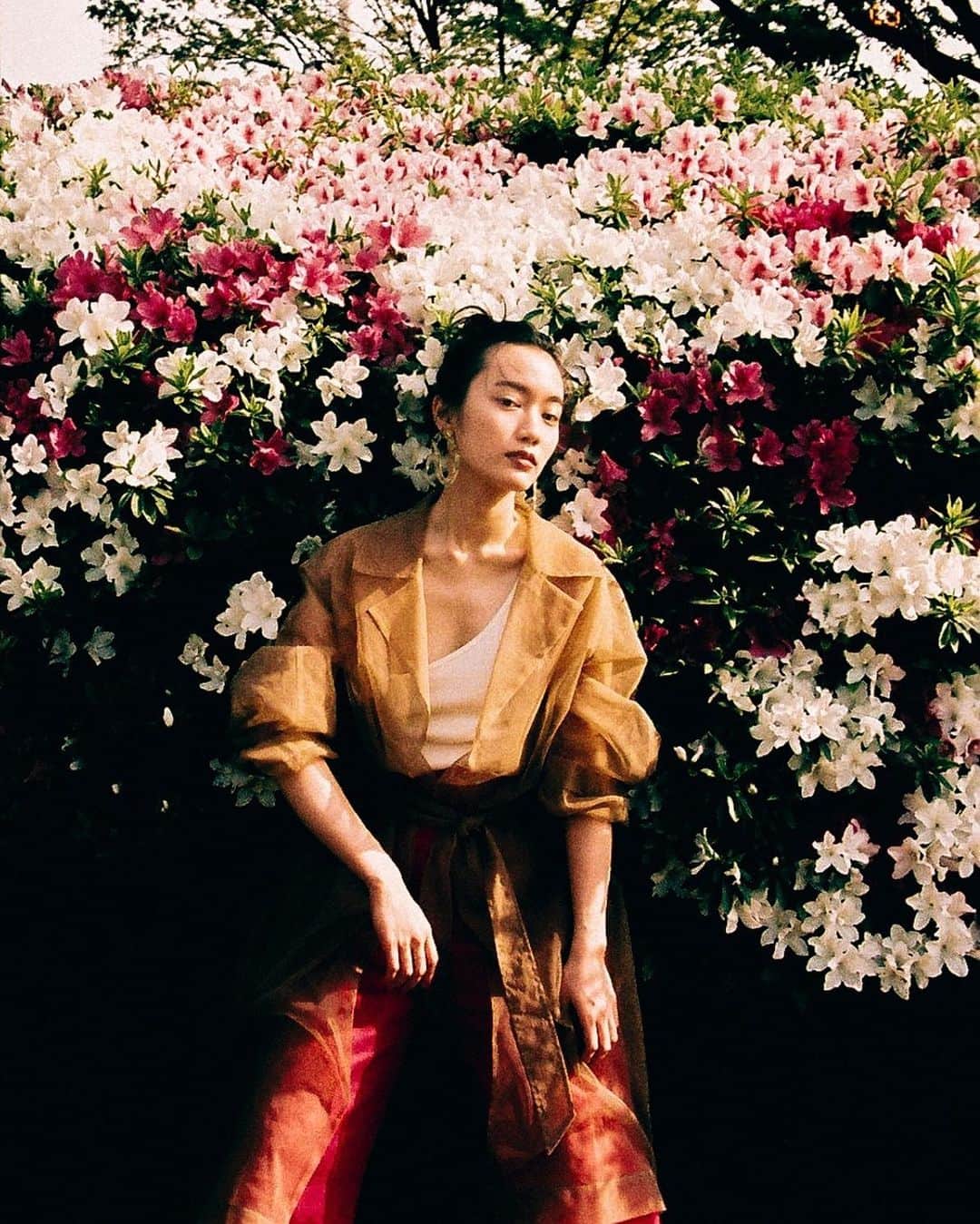 のインスタグラム：「ツツジ💐 #本気のおあそび」