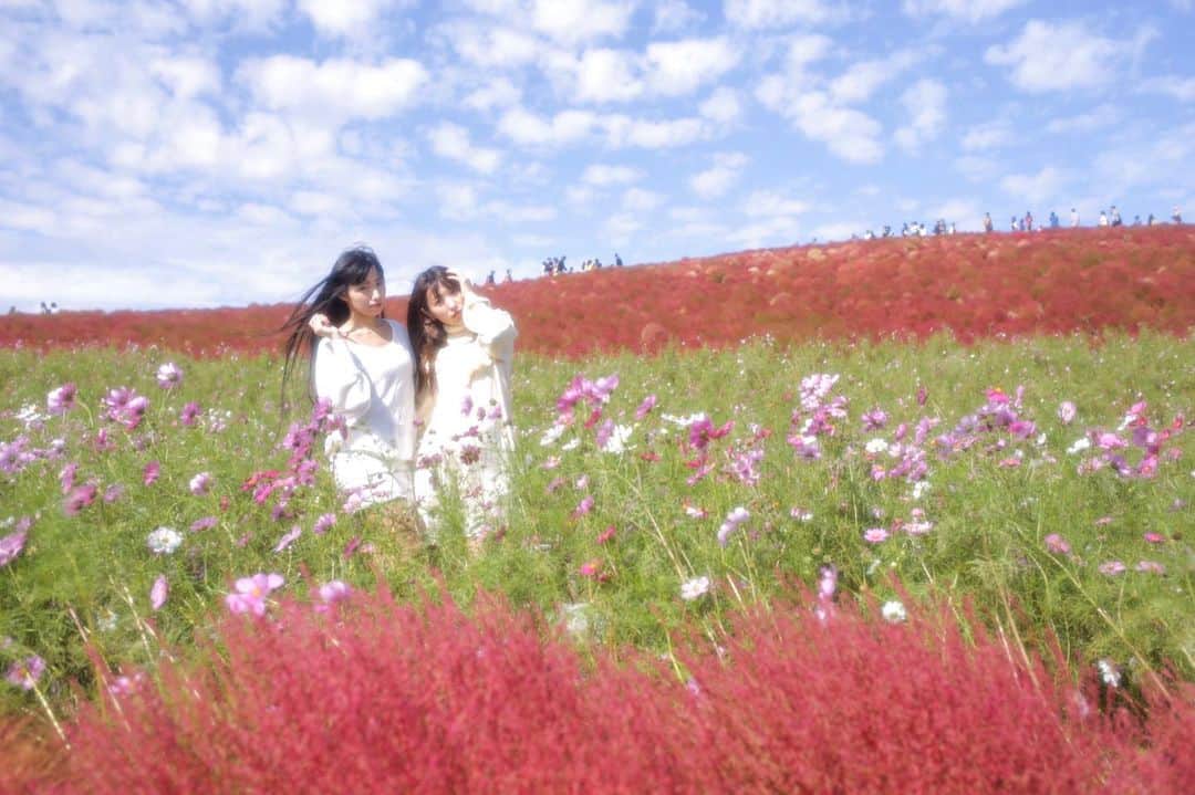 秋元るいのインスタグラム
