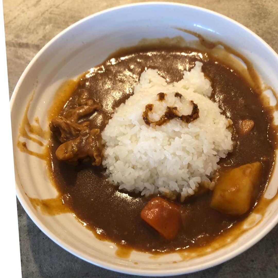 戸田真琴さんのインスタグラム写真 - (戸田真琴Instagram)「#まこにゃんカレー  作ったよ🐈🍛 またまこりんカフェしたいな〜！」10月20日 23時00分 - toda_makoto