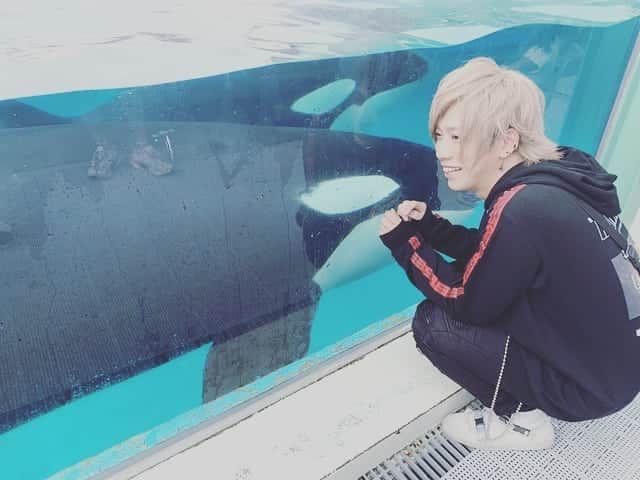 Chiyu のインスタグラム：「FS旅行写真まとめ(笑) ほんとに楽しかったしみんなありがとね♪ また行こなー(｡-ω-) 他の写真はファンサイトにアップしてるしまだあるから後日ファンサイトにアップしていきますね♪  #CHIYU #FS旅行 #鴨川 #鴨川シーワールド #ラビー #ララ #ラン #ルーナ #海の王者vs尼の王者 #ポンチョフル装備なのにラビーがビビって水かけてこなかったから笑 #ルーナの水しぶき１滴のみ #よって勝者CHIYU笑」