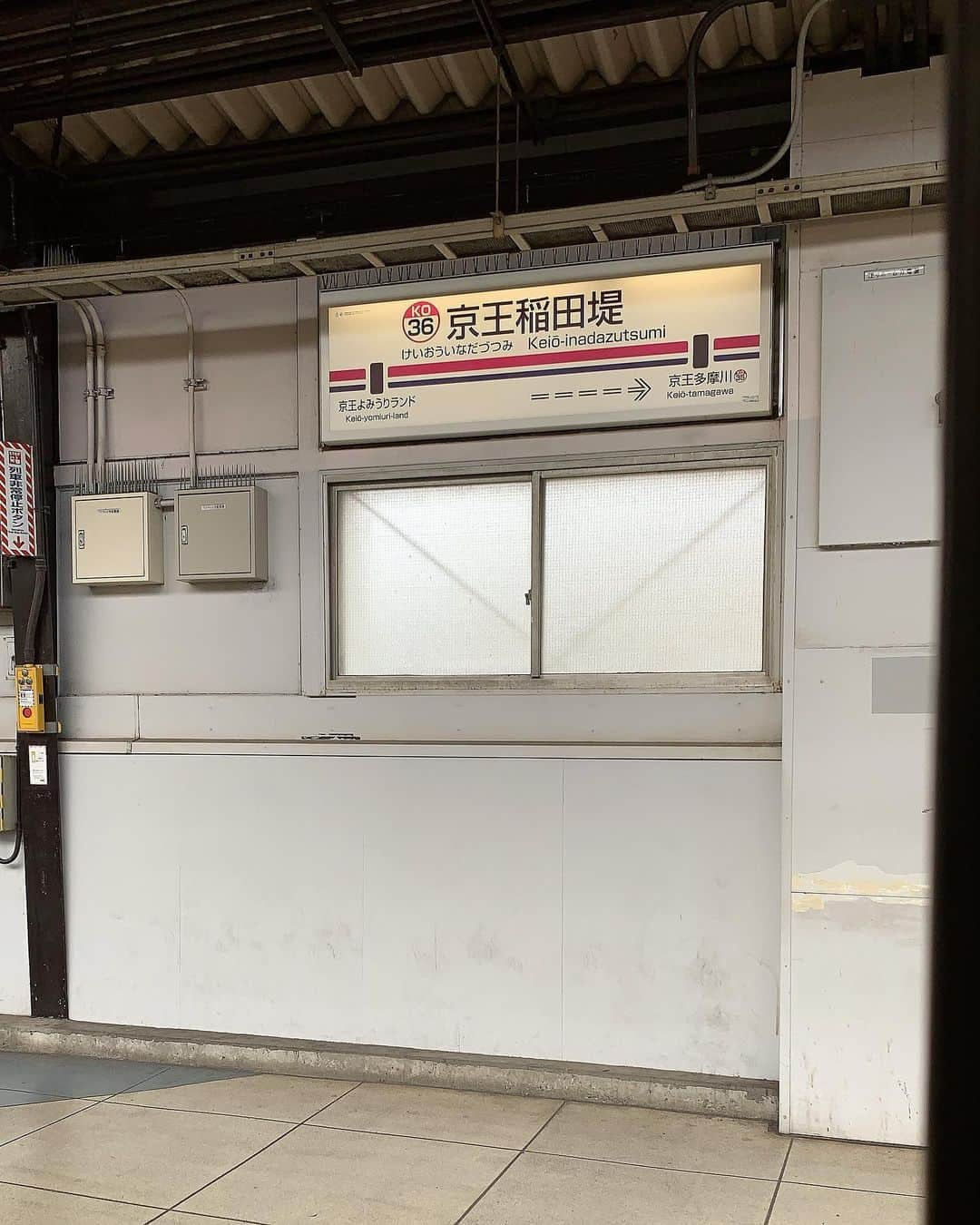 岡田祐佳さんのインスタグラム写真 - (岡田祐佳Instagram)「馬の話つづきですがwww  東京競馬場に招待してもらい 方向音痴をフル発揮しながら、 くたくたになり 心が何度も折れ、 まじ、半泣きで… 気づけば  読売ランド駅？？ 府中はどこ？？ もう帰りたい…  てなりながら　着いた東京競馬場！！ 綺麗で　なんか　来てよかった😍て。  やし、馬みて、触って、なめられて😭癒されたし👍  なんと、馬券4回買って 3回単勝と言うやつを当てちゃった✨😊✨ 200円とかやけど買ったの。 金額とかやなく　みた馬が　頑張って走る姿　感動した🥺✨ 沢山の人らと行ったんだけど めっちゃ仲良くなった　たか子ちゃん😌方向音痴なあたしに　ずっと着いててくるれたの。感謝❤️ #馬主#馬主様に感謝 #東京競馬場  #当たり馬券 #楽しかった　#貴重な体験  #新しい友達　#出会い#g1 #あたしって変　#面白い#言われたら #テンション上がる」10月20日 23時18分 - yukachin719