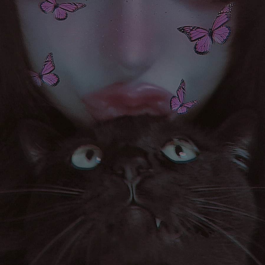 chiiiiiのインスタグラム：「🦋👿🦋」