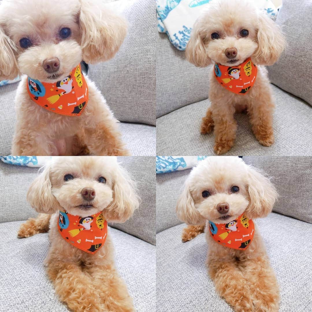 池田夏希のインスタグラム