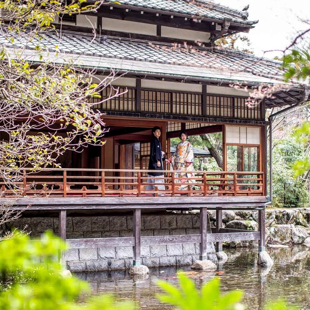 TAKAMI BRIDAL 神社和婚のインスタグラム：「⁂⁂ 京都の歴史ある神社仏閣や有名施設で撮る、お二人のオリジナルフォトウェディングプランをご用意しております。 京都の名所ですてきな想いでを残されませんか。 紅葉の素敵な、大変人気のシーズンになってますので、お問い合わせはお早めに。 ⁂ ⁂ ○価格 200,000円〜 ○含まれるもの 新郎新婦衣裳各1点 ヘアメイク 撮影料 アルバム12カット、約50カットデータ ○お問い合わせ先 TAKAMI BRIDAL KYOTO 0753517722 ⁂  #神社 #神社挙式 #神社結婚式 #京都神社 #結婚式 #和婚 #和婚をもっと盛り上げたい #白無垢 #和装 #和装結婚式 #京都結婚式 #滋賀結婚式 #京都花嫁 #滋賀花嫁 #タカミブライダル #タカミブライダル京都 #takamibridal #平等院鳳凰堂 #下鴨神社 #プレ花嫁さんと繋がりたい #大阪結婚式」