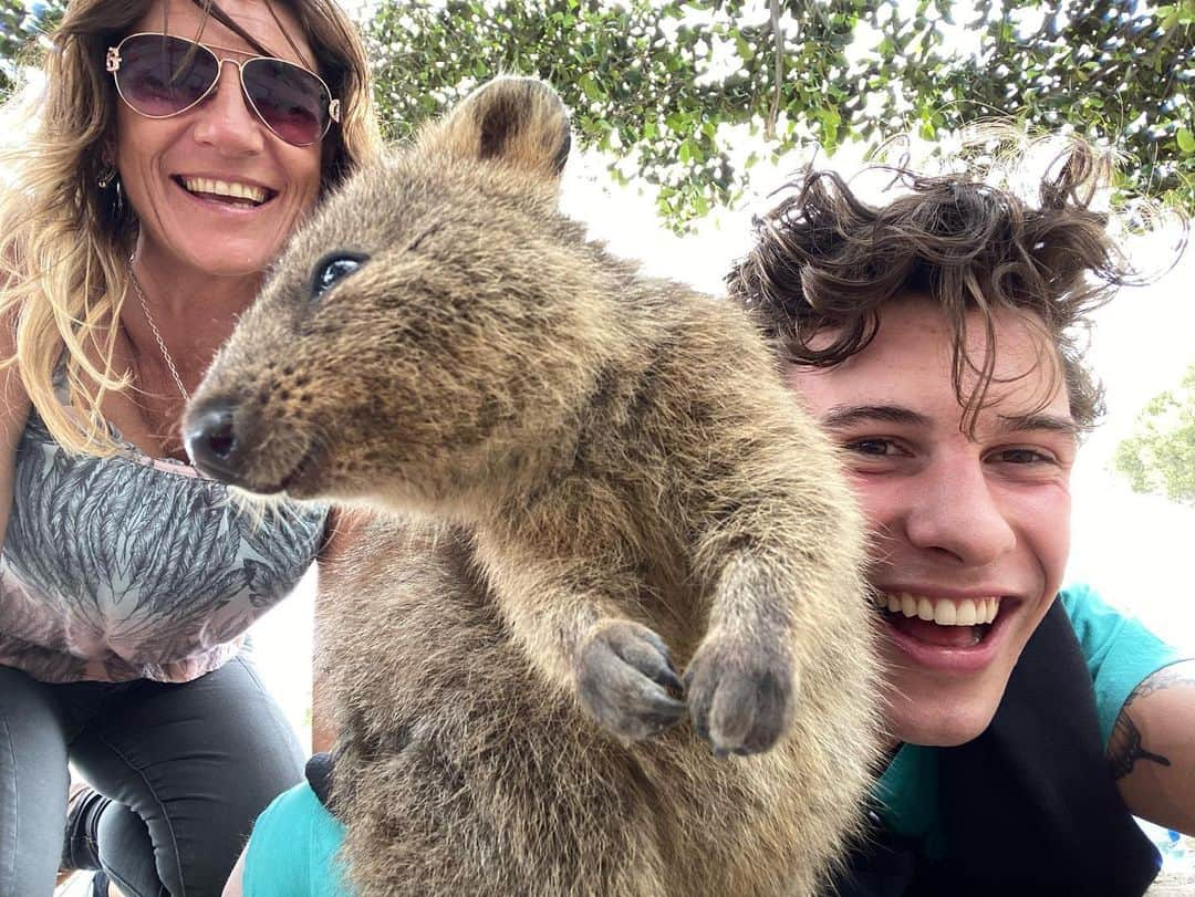 ショーン・メンデスさんのインスタグラム写真 - (ショーン・メンデスInstagram)「I met a Quokka !!!」10月20日 15時22分 - shawnmendes