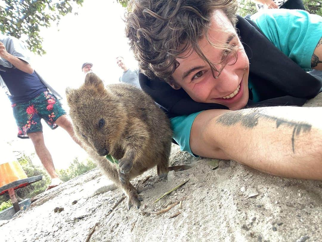 ショーン・メンデスさんのインスタグラム写真 - (ショーン・メンデスInstagram)「I met a Quokka !!!」10月20日 15時22分 - shawnmendes