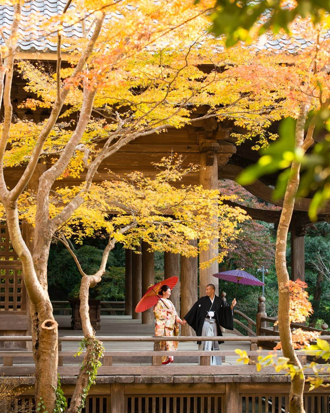 鎌倉プリンスホテル写真室_la-vie factoryのグルメインスタ