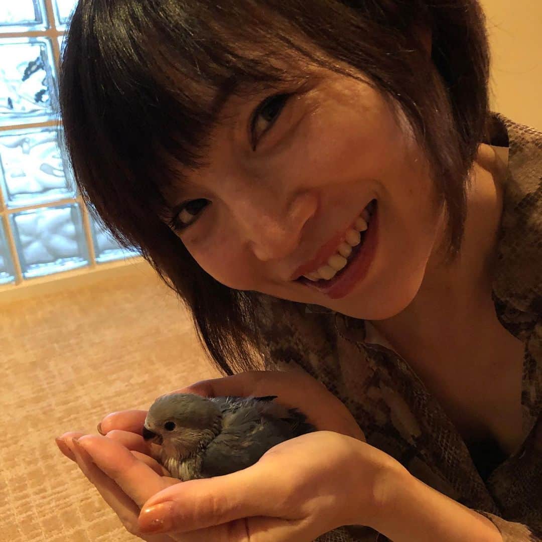 行正り香さんのインスタグラム写真 - (行正り香Instagram)「娘たちが小桜インコを飼いたいと言うので、ヒナちゃんが来ました。名前はまだ確定していません。#行正り香 #rikayukimasa #小桜インコ」10月20日 17時25分 - rikayukimasa