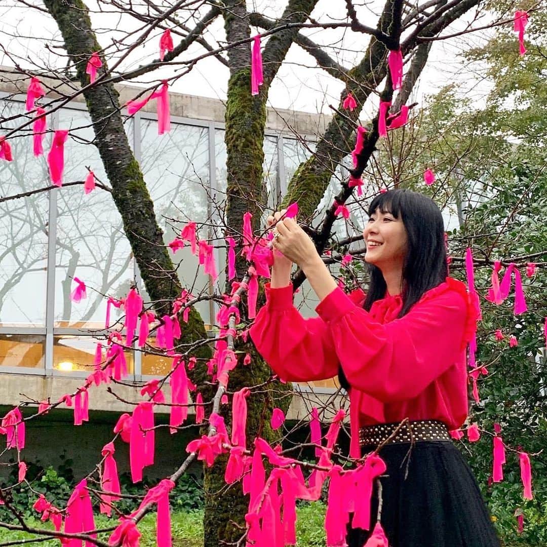安珠のインスタグラム