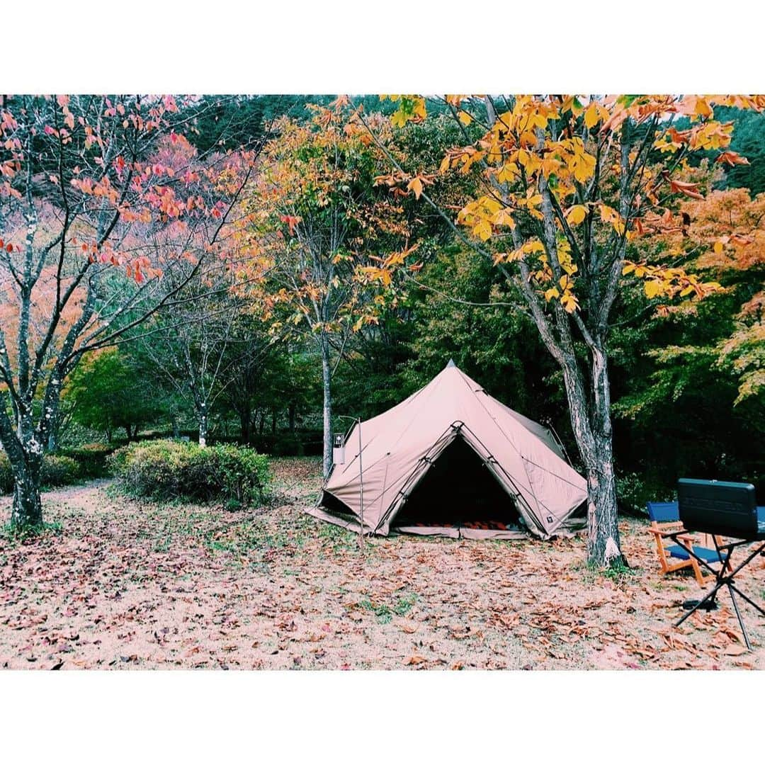 安東輝さんのインスタグラム写真 - (安東輝Instagram)「テントは @zanearts_official にしました 美しいな〜🏕 #zanearts  #zeku #ゼインアーツ  #ゼクーm」10月20日 18時55分 - iamakiraando