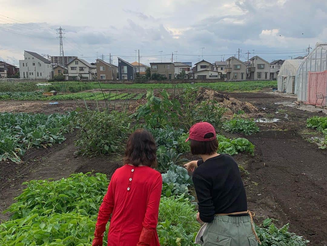 加藤紀子のインスタグラム：「畑7年目にしてようやく母に畑を見て貰う事が出来ました😃  今夜は母が収穫してくれた 紫大根と、赤水菜でサラダを作って家族収穫祭を🥦🍆🥕🥬🌶 #カトノリ農園 #畑からこんにちは #まだまだ元気な空芯菜 #メインは鹿児島大野屋の鳥刺し #母オモテナシ」