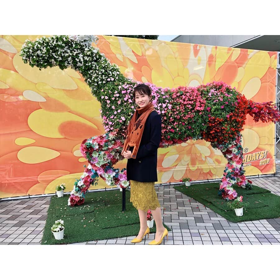 津田麻莉奈さんのインスタグラム写真 - (津田麻莉奈Instagram)「柳楽優弥さんトークショー‼️ お越し下さった皆さま、お声がけ下さった皆さま、ありがとうございました。イエローコーデ柳楽さん特別賞に選ばれた方、おめでとうございます😊🎉 ⁑ 柳楽さんは黄色いネクタイのイエローコーデ。 わたしは紺ブレとレーススカート、お気に入りの黄色いパンプスでイエローコーデ。 ウマフラーも忘れずに🐴✨ ⁑ 菊花賞を勝ったのはワールドプレミア武豊騎手でした👏 菊花賞の最年少＆最年長勝利記録。 おめでとうございます‼️ 管理されている友道康夫調教師は、三冠トレーナーに✨ 関係者の皆さま、本当におめでとうございました😆 ⁑ 来週は天皇賞🏇👑 高畑充希さん、優勝ジョッキー、TIMさんと、トークショーに出演させていただきます😊🙌✨ 出走馬があまりに豪華メンバー過ぎて、もう今からドキドキや💓 来週は東京競馬場でお会いしましょう😉 ⁑ ⁑ #菊花賞 #スペホリ #スペホリ菊花賞 #京都#競馬 #京都競馬場 #イエローコーデ #柳楽優弥 さん #holidays #hotholidays #umajo #まりなる#津田麻莉奈」10月20日 19時40分 - tsudamarinal