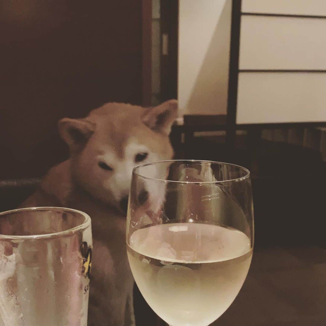 奇妙礼太郎のグルメインスタ