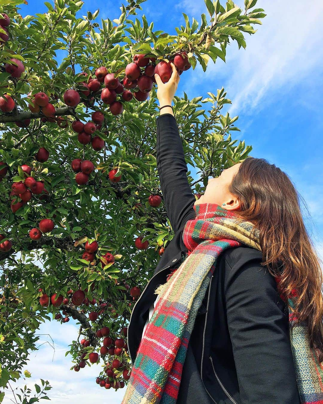 シボーン・バーナデット・ホーヒーさんのインスタグラム写真 - (シボーン・バーナデット・ホーヒーInstagram)「Let’s be honest - “apple picking 🍎 ” is just an excuse to take nice pictures in cute fall clothes 🍁 #fallfestivities」10月20日 21時37分 - siobhanhaughey01