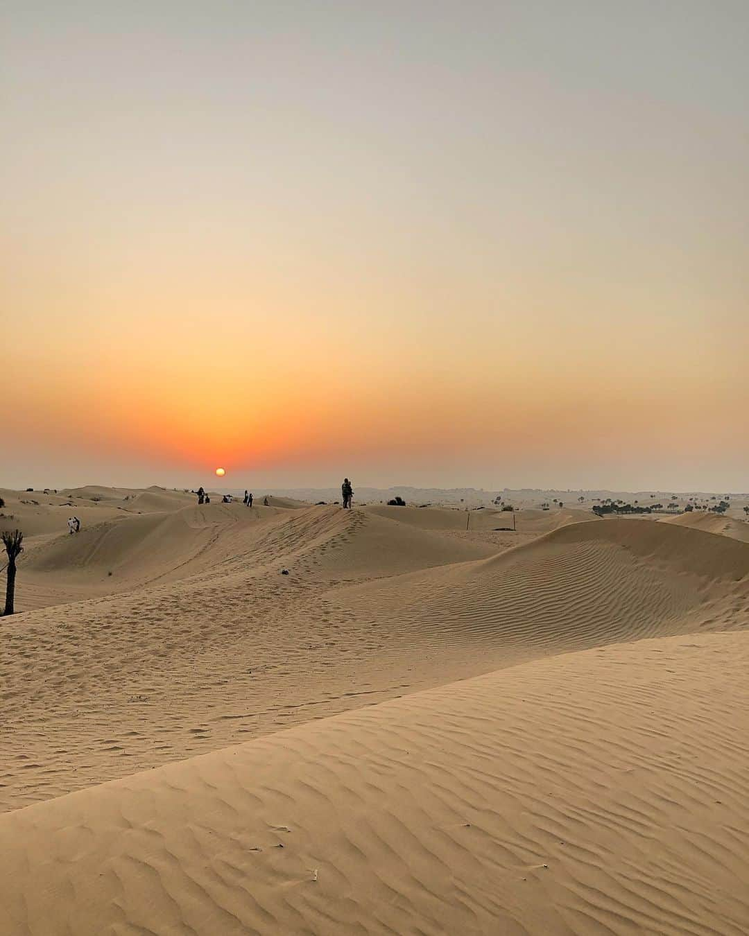 都築青空さんのインスタグラム写真 - (都築青空Instagram)「民族衣装アバヤを着て🧕🏜 (黒が一番伝統的なんだって) . .  #camel #cameltrekking #desert #desertsafari #desertsafaridubai #ラクダ #デザートサファリ #砂漠 #ラクダトレッキング #デザートサファリドバイ #アバヤ #ヒジャブ #dubai #uae #trip #ドバイ #アラブ首長国連邦 #ドバイ旅行 #タビジョ #あおぞら旅日記」10月20日 21時42分 - aozora723