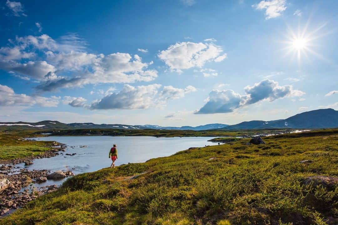 National Geographic Travelさんのインスタグラム写真 - (National Geographic TravelInstagram)「Photo by @MartinEdstrom | Spending time in Hardangervidda National Park in Norway, you get to enjoy the evergreen heather. Most people cross Hardangervidda on the classic routes, so if you step off the beaten path, you're bound to be alone. Follow @MartinEdstrom for more travel tips from the Nordics. #norway #hardangervidda #nationalparks #hiking #packrafting」10月21日 1時10分 - natgeotravel