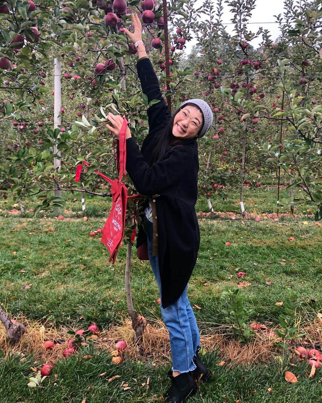 長洲未来さんのインスタグラム写真 - (長洲未来Instagram)「Always biting off more than I can chew 🍎 • • #apples #applepicking #fallactivities #wightmanfarms」10月21日 2時46分 - mirainagasu