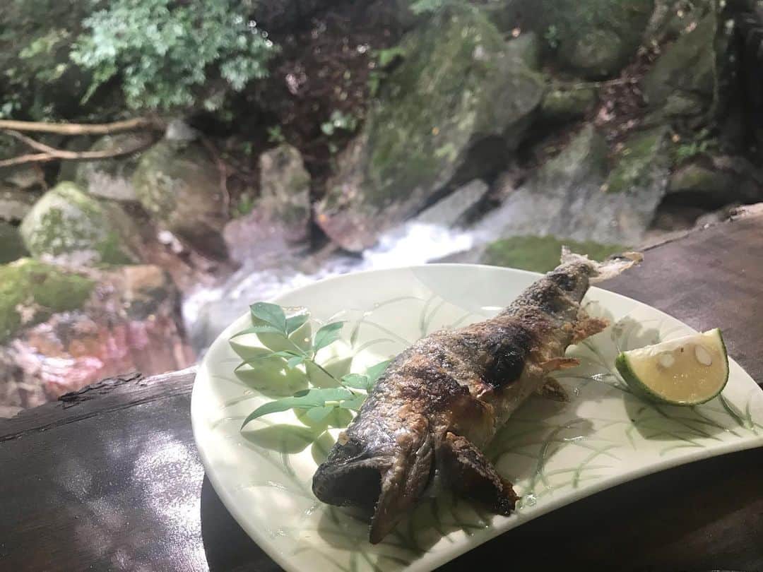 川崎優さんのインスタグラム写真 - (川崎優Instagram)「. . やまめ…🐟🐟🐟 #朝倉 #だんごあん #お店の方のお心遣いに感謝 #山も海も川も好き #全部美味しい」10月21日 8時59分 - yuu__noir