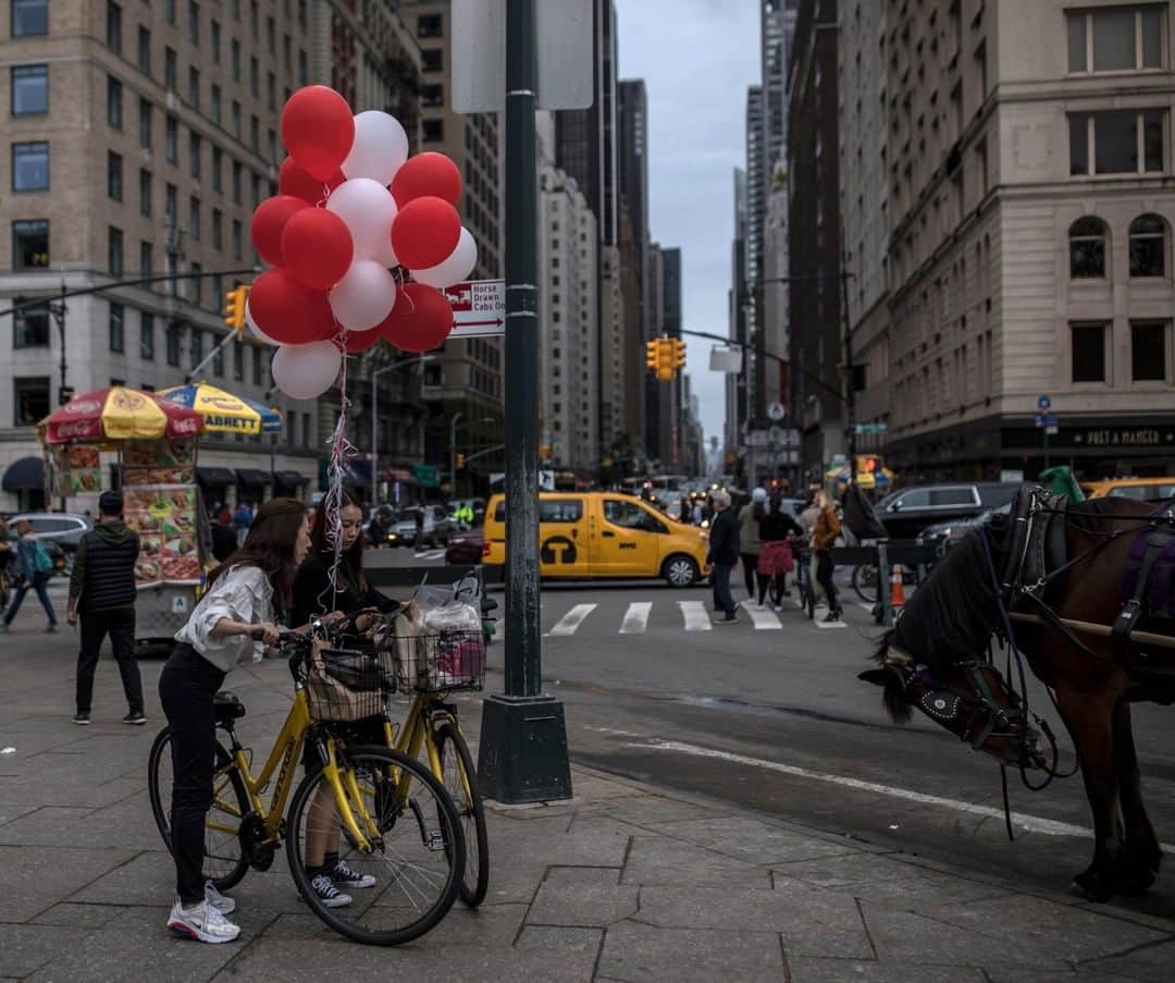 National Geographic Travelさんのインスタグラム写真 - (National Geographic TravelInstagram)「Photo by Muhammed Muheisen @mmuheisen | A tourist checks the map while transporting balloons on a bicycle in New York City. For more photos and videos from different parts of the world, follow me @mmuheisen and @mmuheisenpublic #muhammedmuheisen #NewYork #NYC」10月21日 5時04分 - natgeotravel