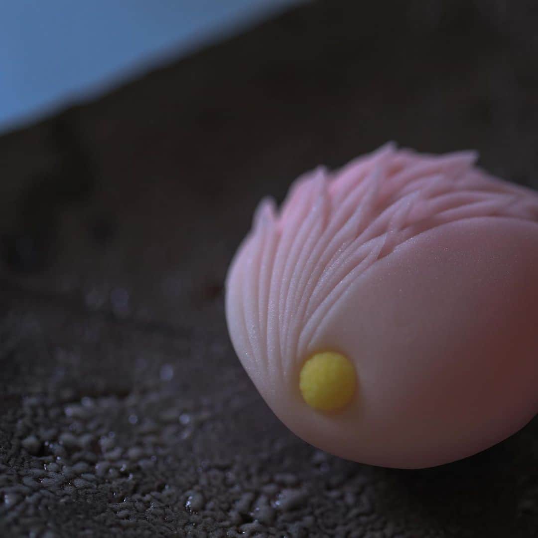 のインスタグラム：「今日の和菓子はねりきりで作った菊です。 ねりきりとは白餡に餅や芋を混ぜて作った和菓子で 茶道 で使われる「主菓子」の一種です。 撮影 用に作成しました。 ベタな角度から松本城の写真を撮りたいと思っていましたがなんとか撮る事ができました。 夜に三脚も一脚もないのでISOを上げて撮りました。 フェイスブックページのいいね！もよろしくお願いします。 https://www.facebook.com/shishisu/ Today's wagashi is  chrysanthemum with Nerikiri. The Nerikiri is the material of wagashi made by mixing the rice cake and yam in white bean. Is a kind of "Jounamagashi" as used in the tea ceremony. The sweets I've made for the shooting. #福泉堂  #和菓子  #楽しい #funny #my_eos_photo #出雲  #swag #カメラ好きな人と繋がりたい  #写真好きな人と繋がりたい　 #松本城  #life #城 #Japan #wagashi  #جميل #кондитер #ファインダー越しの世界 #日本 #お城  #撮影 #happy #Mignon  #igfood #lifestylenipponpic #photooftheday #เค้ก #sweets #торт #yummy」