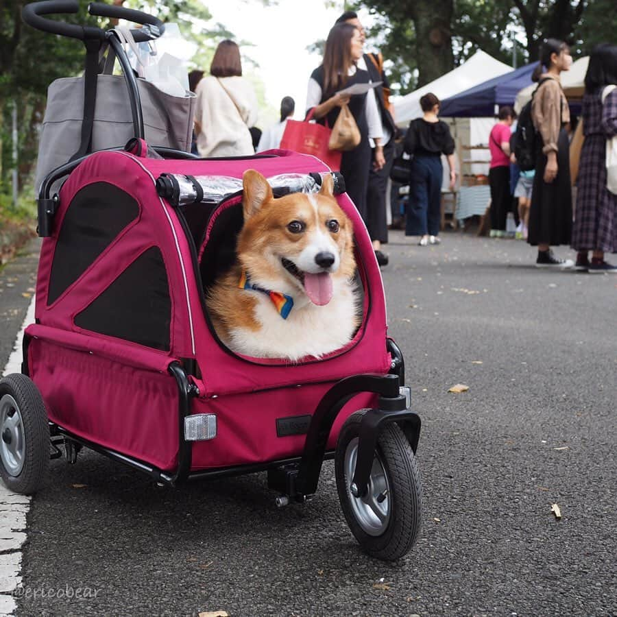 ericoのインスタグラム