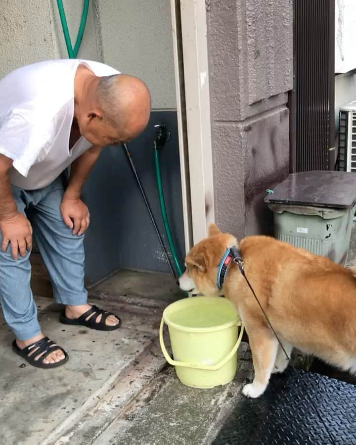 まる（まるたろう）のインスタグラム