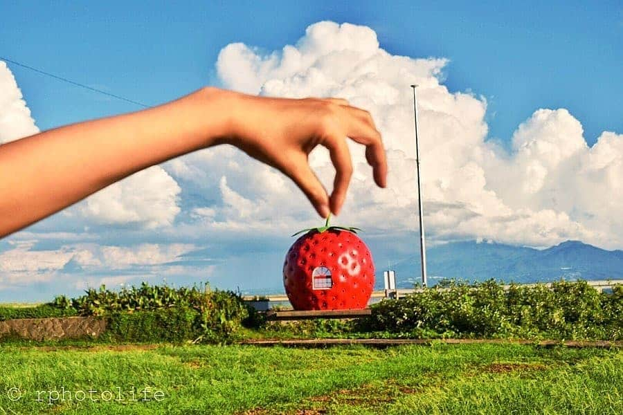 ピーチ・アビエーションさんのインスタグラム写真 - (ピーチ・アビエーションInstagram)「長崎県で巨大イチゴ発見🍓🍓 のんびりした景色の中でひときわ目立つこのイチゴ。 #フルーツバス停 🍓🍊🍈とよばれる人気のフォトスポット📷 . どこかレトロな雰囲気でかわいいこのバス停は 1990年に開催された「長崎旅博覧会」で訪れる人たちをほっこりさせるために作られたんだとか✨ . バス停のデザインは全部で5種類。 なんと16箇所も設置されてます♬ 是非お気に入りのバス停を探してみてくださいね😉 . . . . . . . . . . . . . . . . . . . . . . . . . . . . . . . . . . . . ▶Photo by @rphotolife OOKINI!! ▶Place  #長崎県 #小長井町 ▶Access 🚗の場合：長崎空港から約1時間 . . . . . . . . . . . . . . . . . . . . . . . . . . . . . . . . . . . . Peachでは各就航地で撮影された皆さまのお写真をInstagramでご紹介させていただいています。 #fly_peach をつけて投稿してください✨ . #長崎 #長崎観光 #長崎旅行 #小長井 #九州 #九州観光 #九州旅行 #バス停 #🍓 #写真旅 #ノスタルジックな風景 #日本自由行 #自由行 #打卡景點 #japantrip #japantravel #Nagasaki #nagasaki #Kyushu #nagasakigram #japan_of_insta #art_of_japan #japantravelphoto」10月21日 17時31分 - flypeach