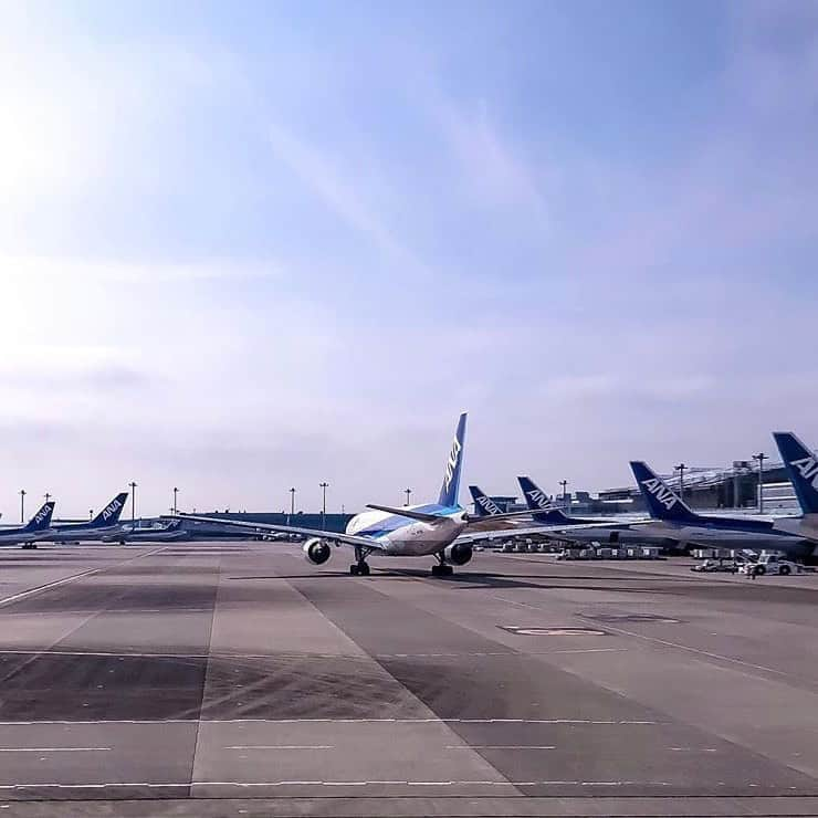 ANAさんのインスタグラム写真 - (ANAInstagram)「羽田に並ぶANAフリート✈️ （Photo：@51nao50）  #羽田空港 #ANA機 #勢揃い #フリート #ANAブルー #青 #飛行機 #雲 #空 #旅 #空旅 #空港 #HND #空港好き #旅行好き #機窓 #ソラマニ_マドカラ #hanedaairport #airport #airplanes #clouds #sky #travel #japantrip #ana_jp  機窓からの風景は「#ソラマニ_マドカラ」を付けて投稿してね✨インスタやANAの各メディアでご紹介していきます💙」10月21日 17時31分 - ana.japan