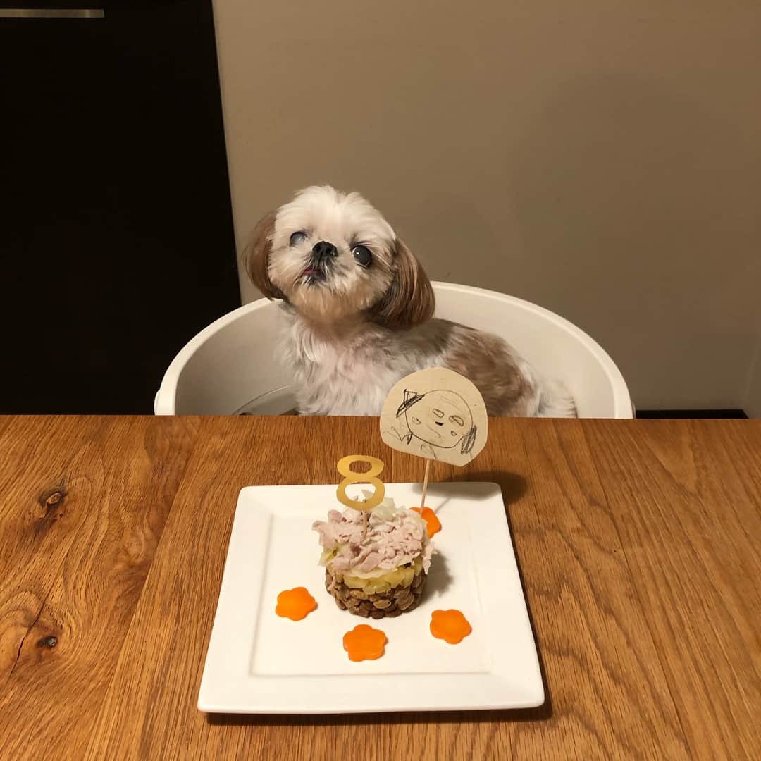 いりこのインスタグラム：「HAPPY BIRTHDAY 🎂 もう8歳！いつもそばにいてくれてありがとう。大好きだよ❤️ 娘作のいりこ似顔絵がけっこう似てる🤣」